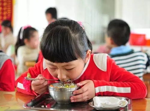 幼儿饮食教育案例