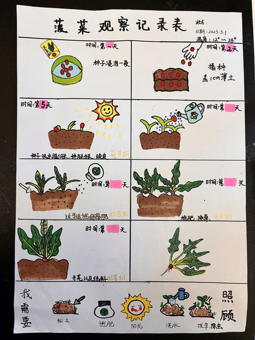 植物生长观察记录表怎么写?