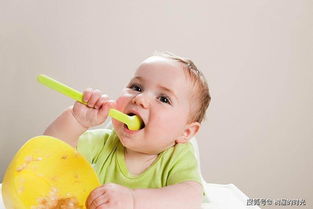 宝宝膳食纤维辅食的作用